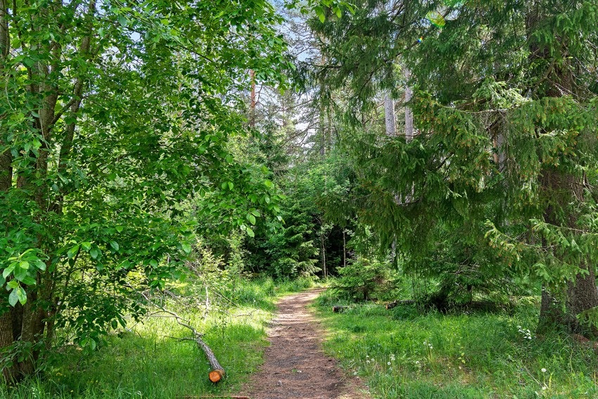 Rett ved leiligheten ligger også tursti til Lambertseters helt egne lysløype som er et populært turområde for beboerne i området både sommer og vinter. Her ifra er det også en gangvei som tar deg rett over til Skullerud og videre inn i Østmarka. Galleribilde