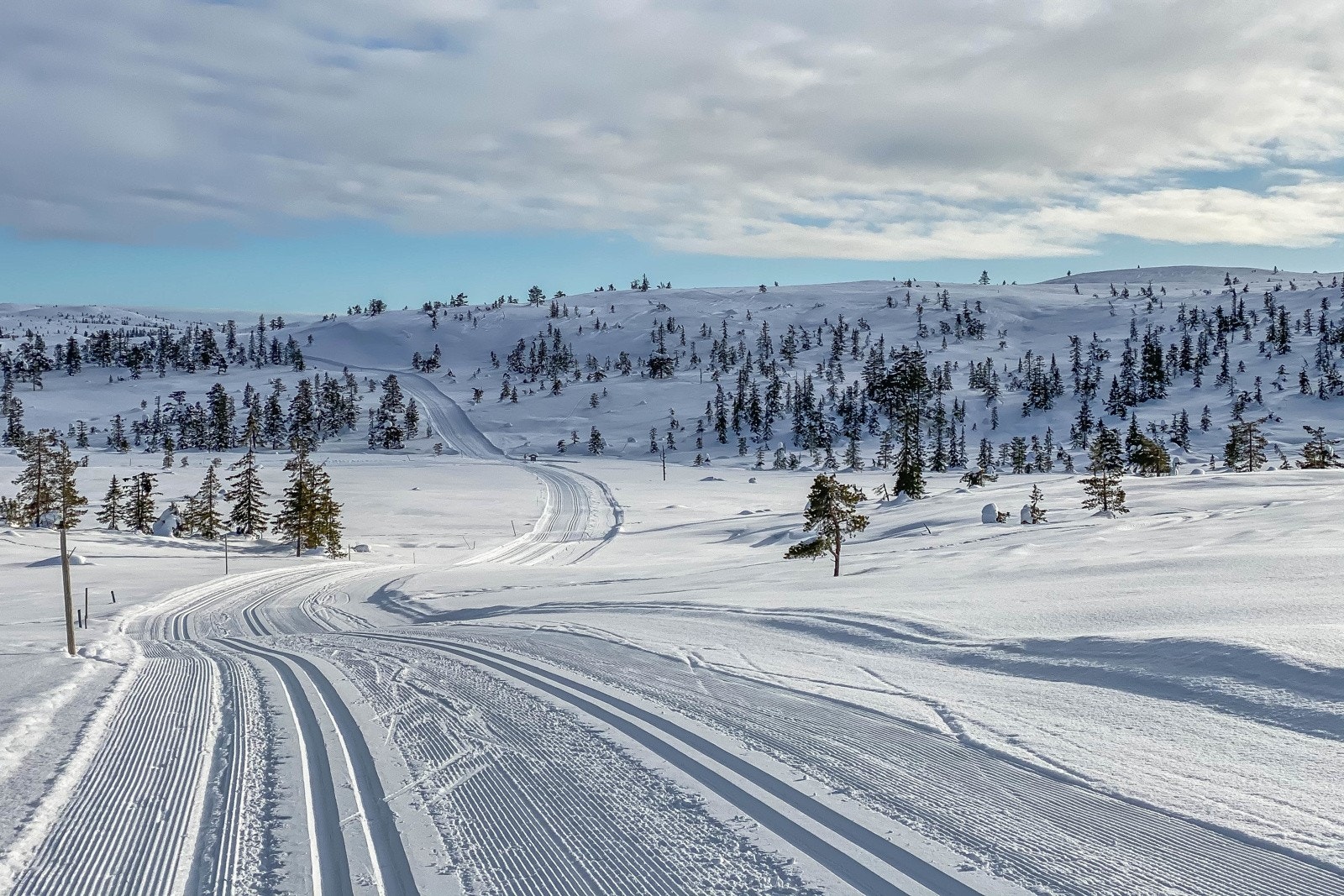 På vinteren er det helt nydelige skiløyper på hele fjellet Galleribilde