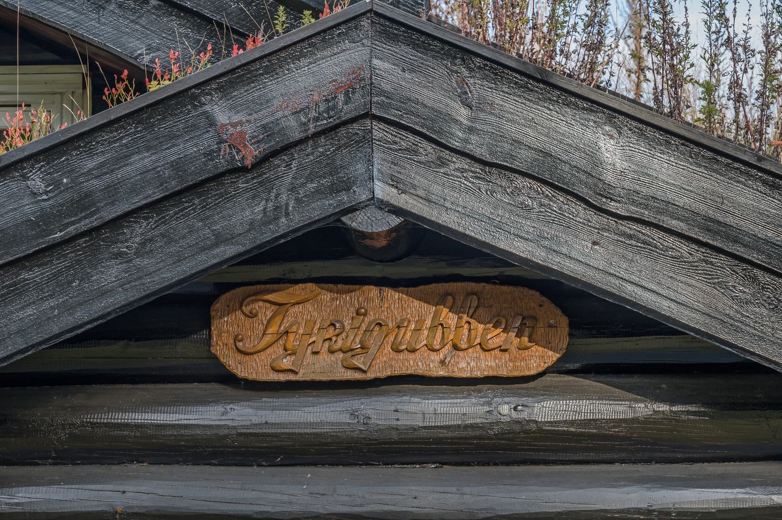 Velkommen! Galleribilde