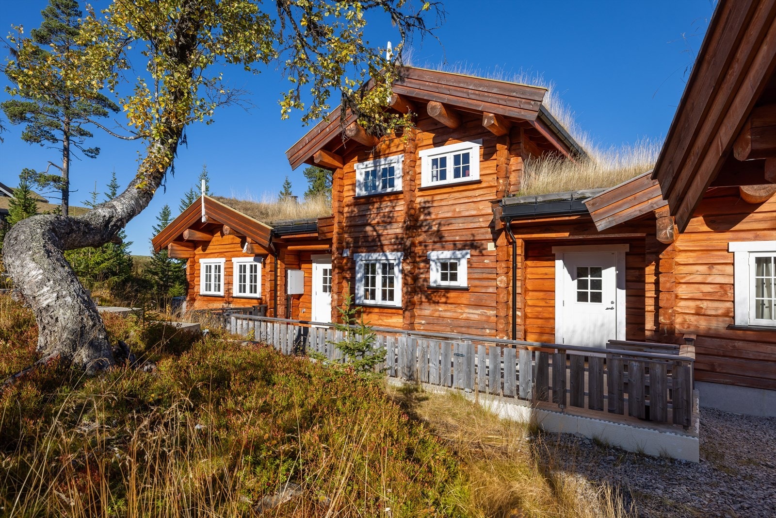 Reinrosevegen_26-17.jpg Galleribilde