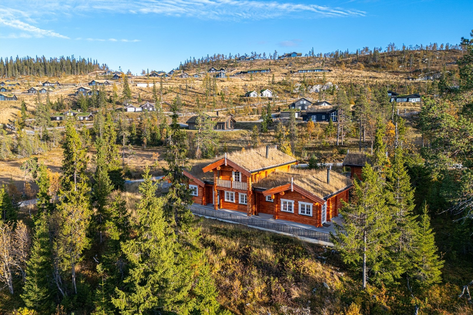 Reinrosevegen_26-5.jpg Galleribilde