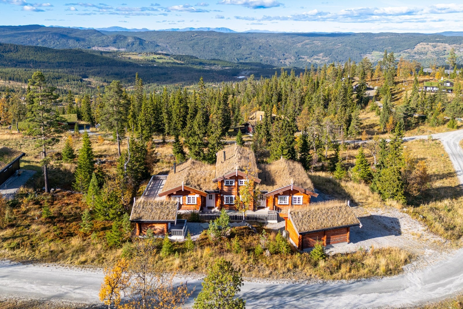 Her kan man skimte Skogshorn i det fjerne Galleribilde