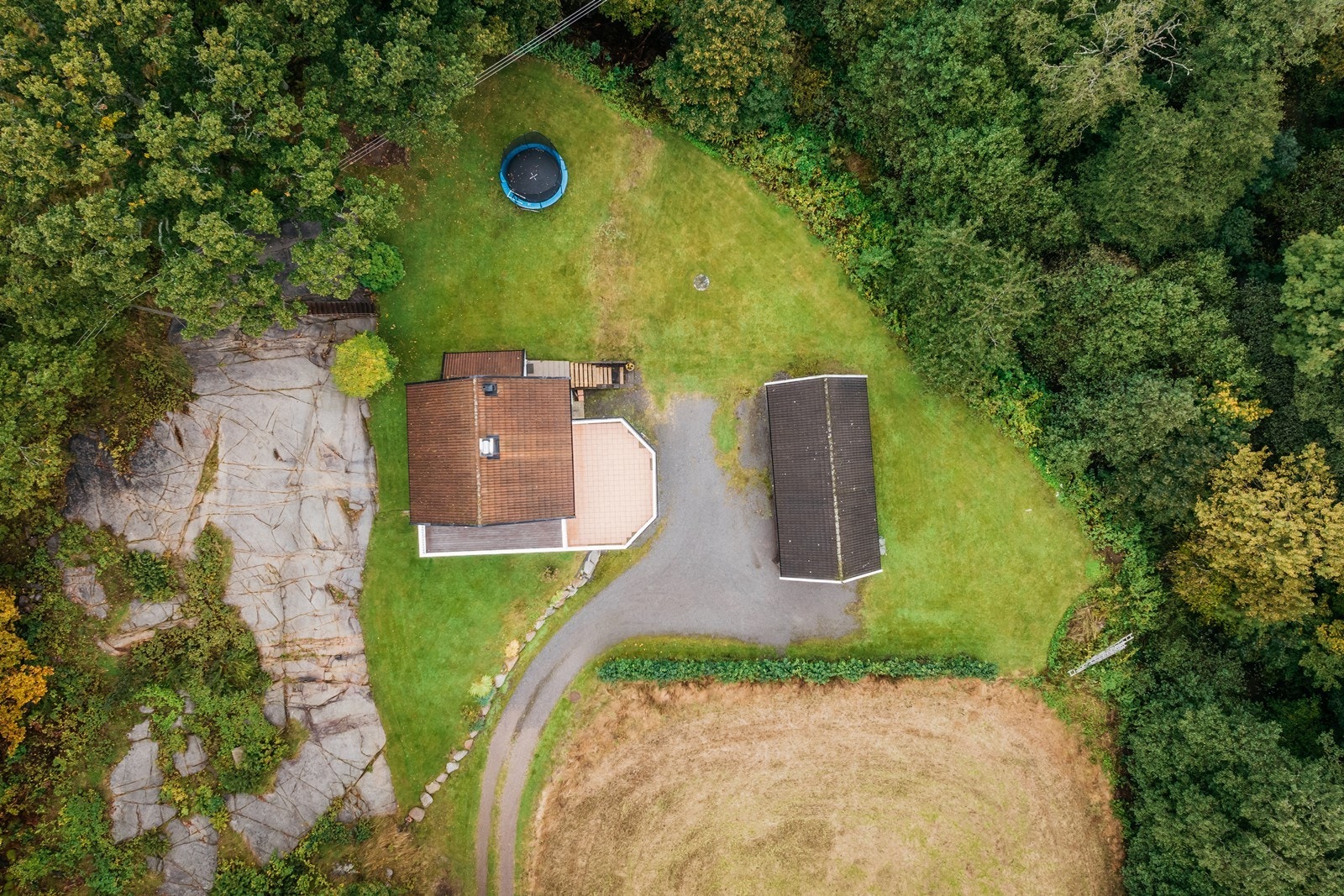 Oversikt over tomten (tomten følger hekken i rett linje, slik at noe av gresset ikke tilhører denne tomta) Galleribilde