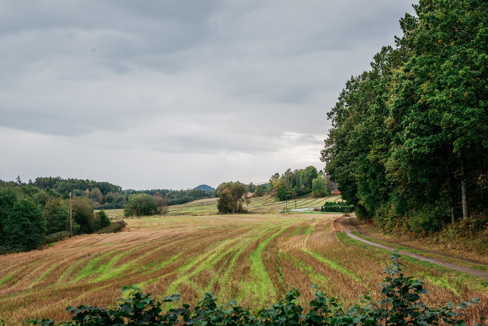 Utsikten din Galleribilde