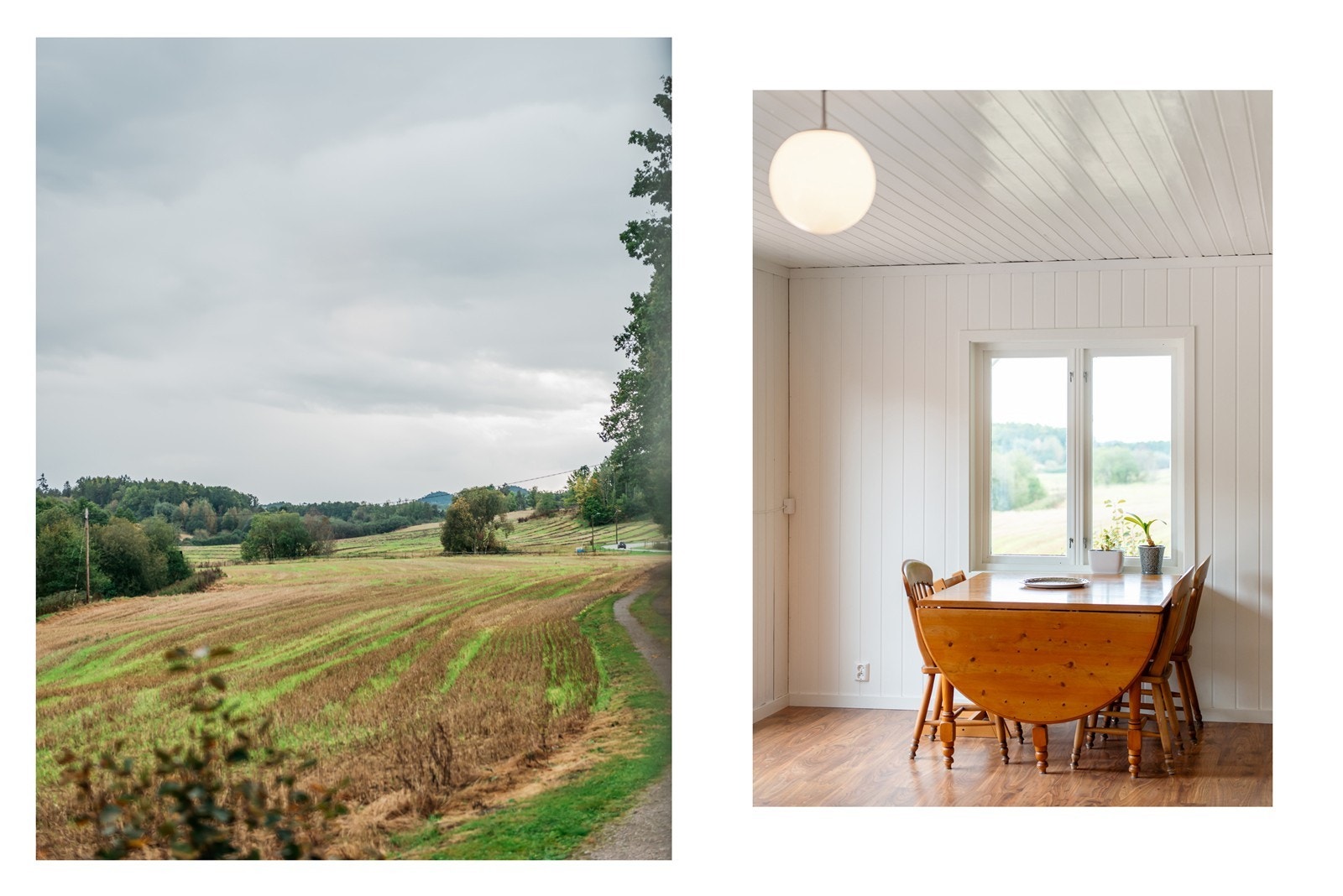 Utsikten fra middgasbordet Galleribilde