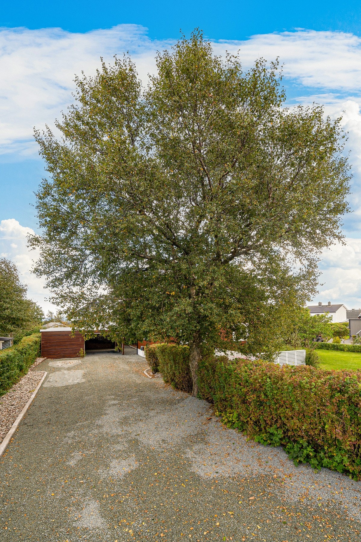 Innkjørsel Galleribilde