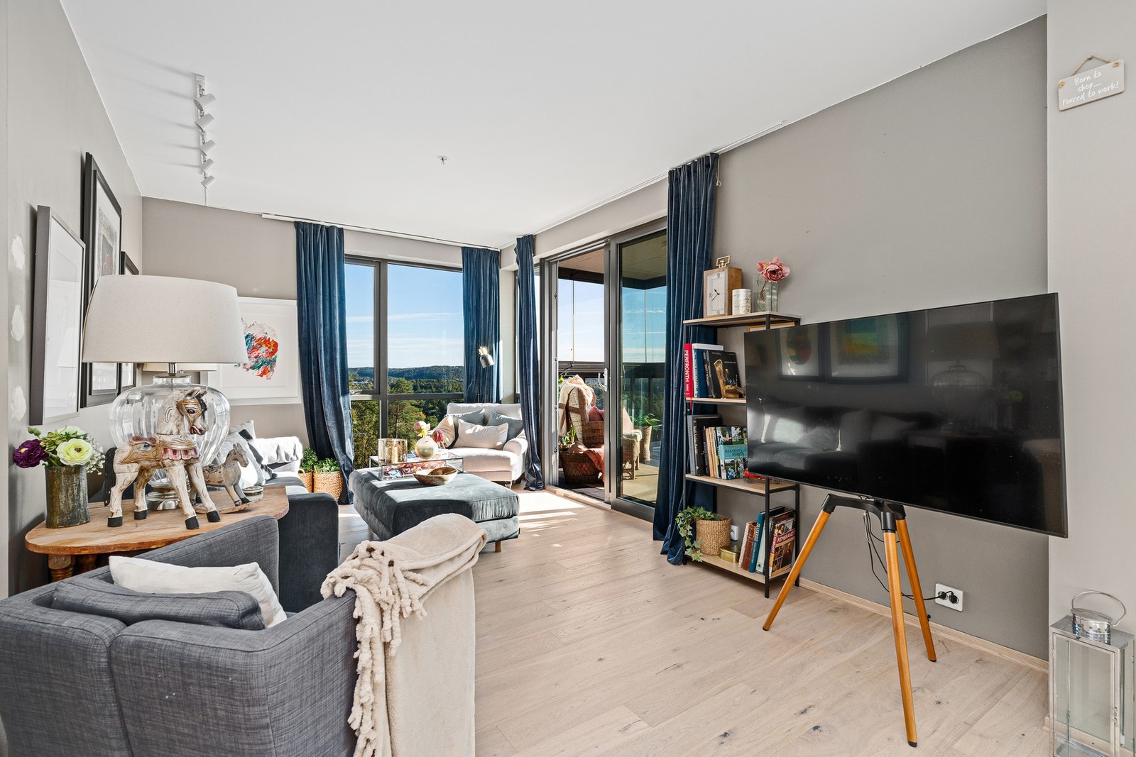 Stue/spisestue Galleribilde