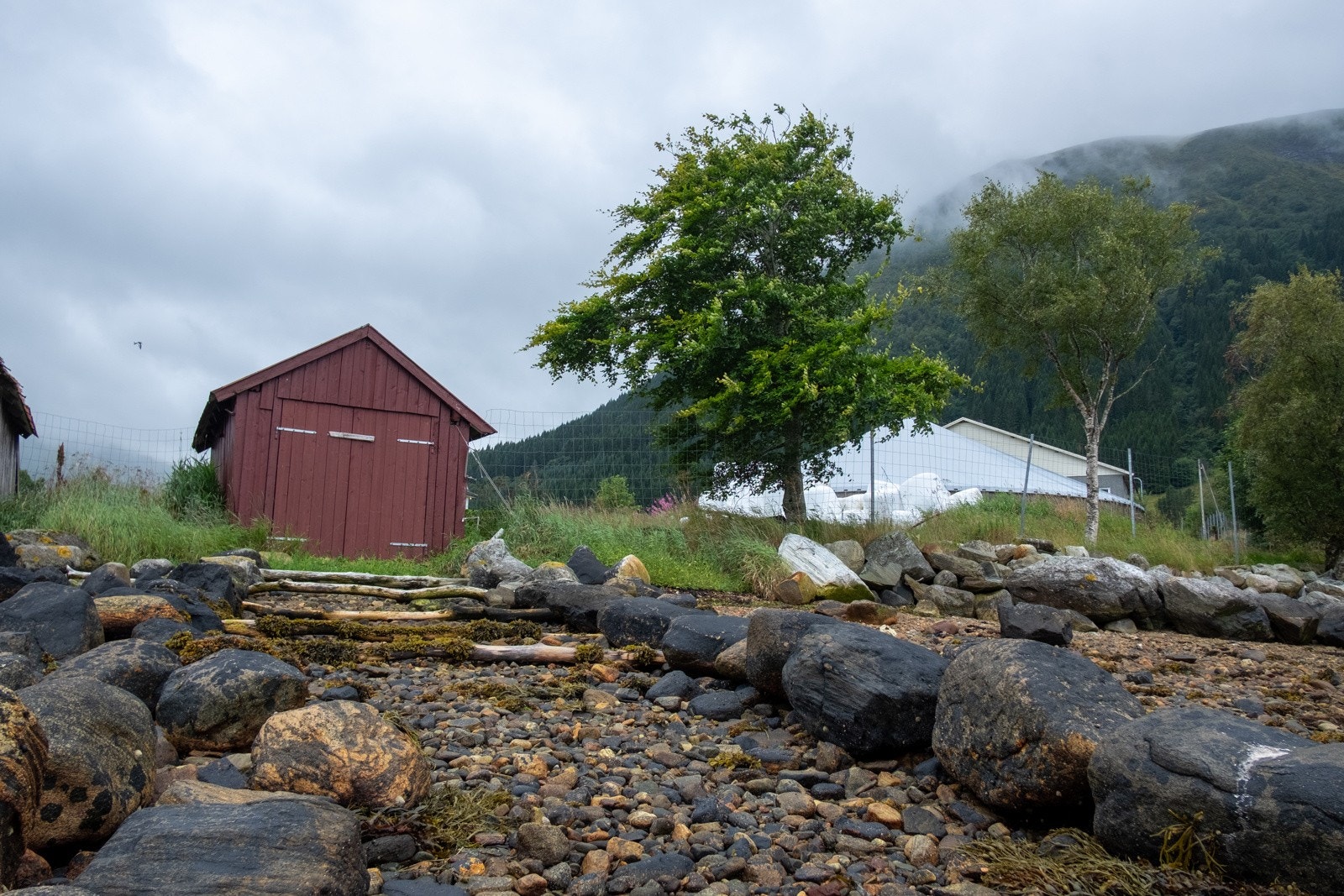 Naustet Galleribilde