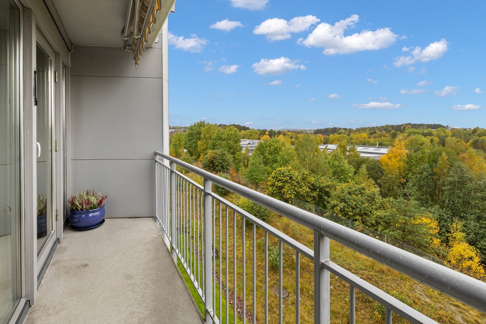 En vestvendt på ca. 4 kvm Galleribilde