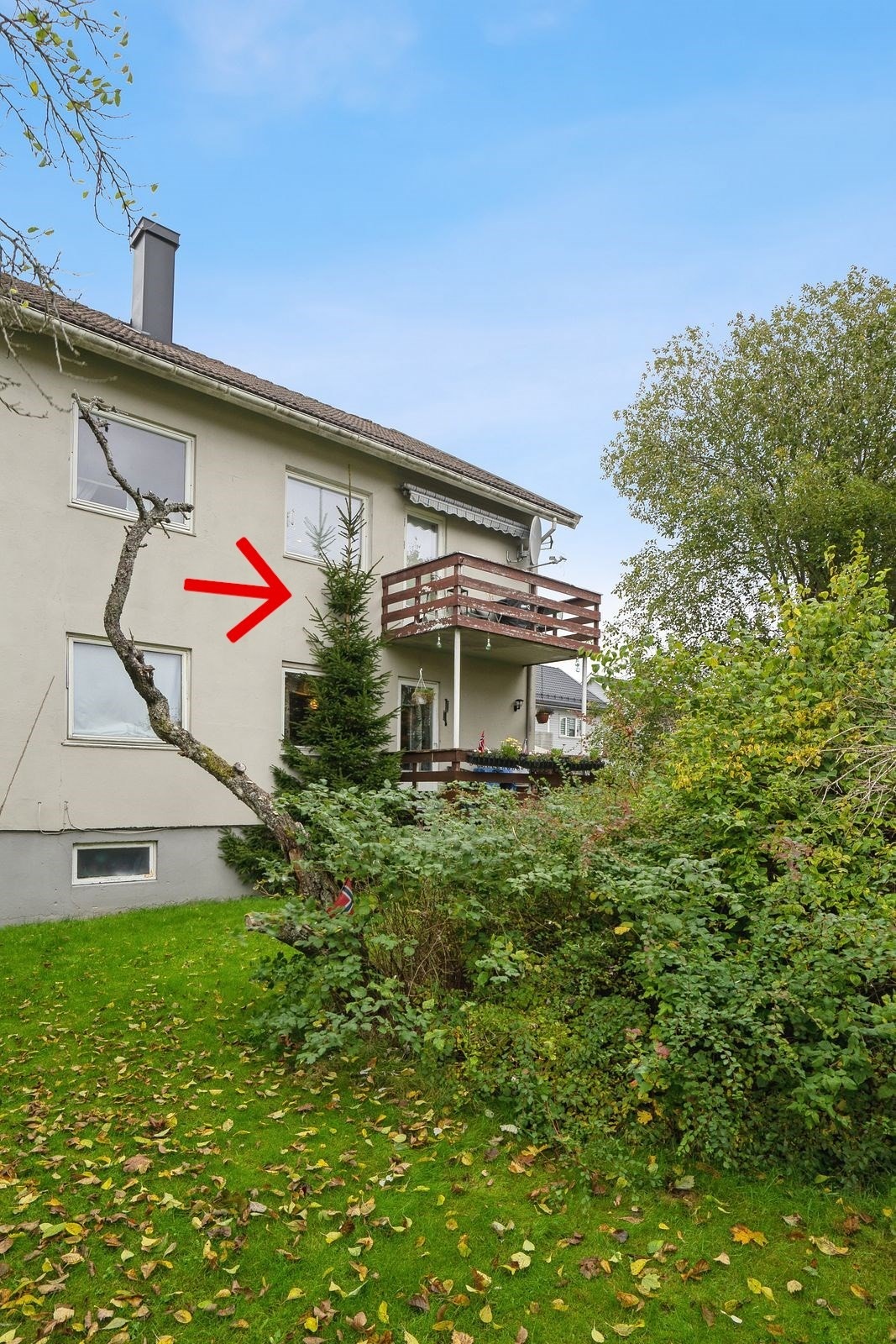 Grønne omgivelser og hyggelig atmosfære. Galleribilde