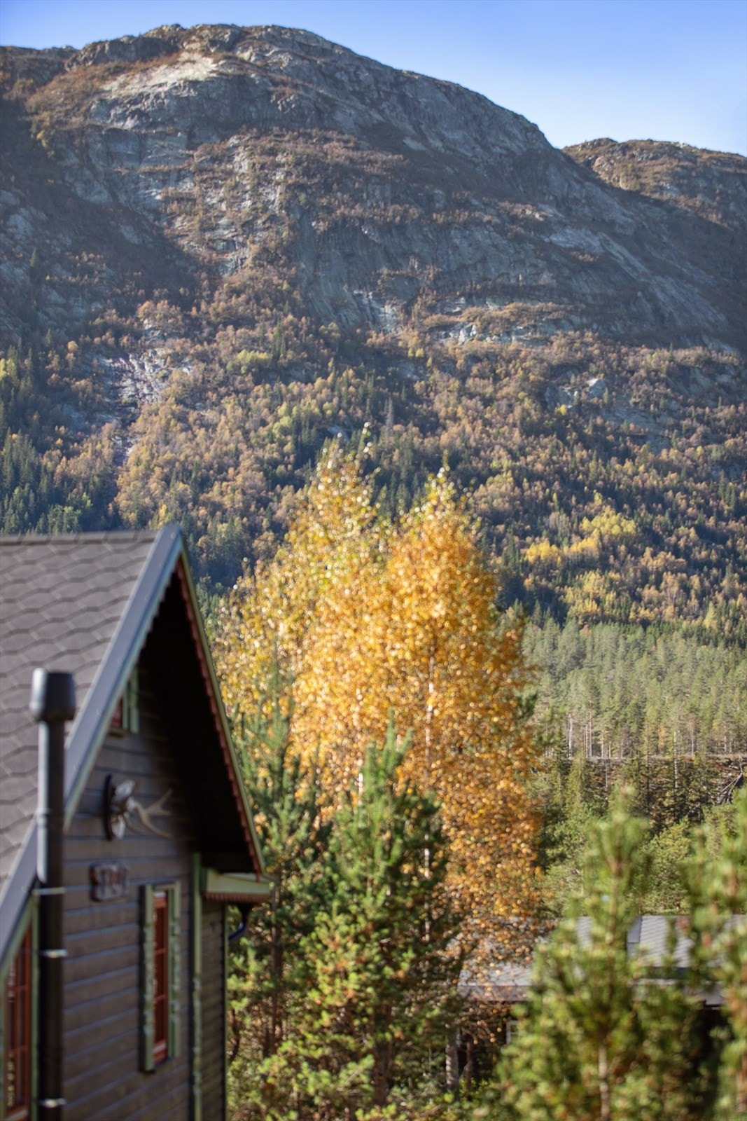 Flott utsikt fra eiendommen Galleribilde