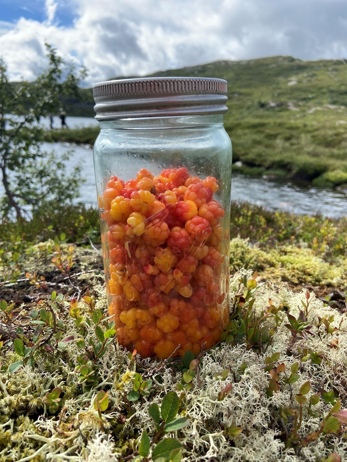 Privat bilde fra selger av nærområdet. Galleribilde