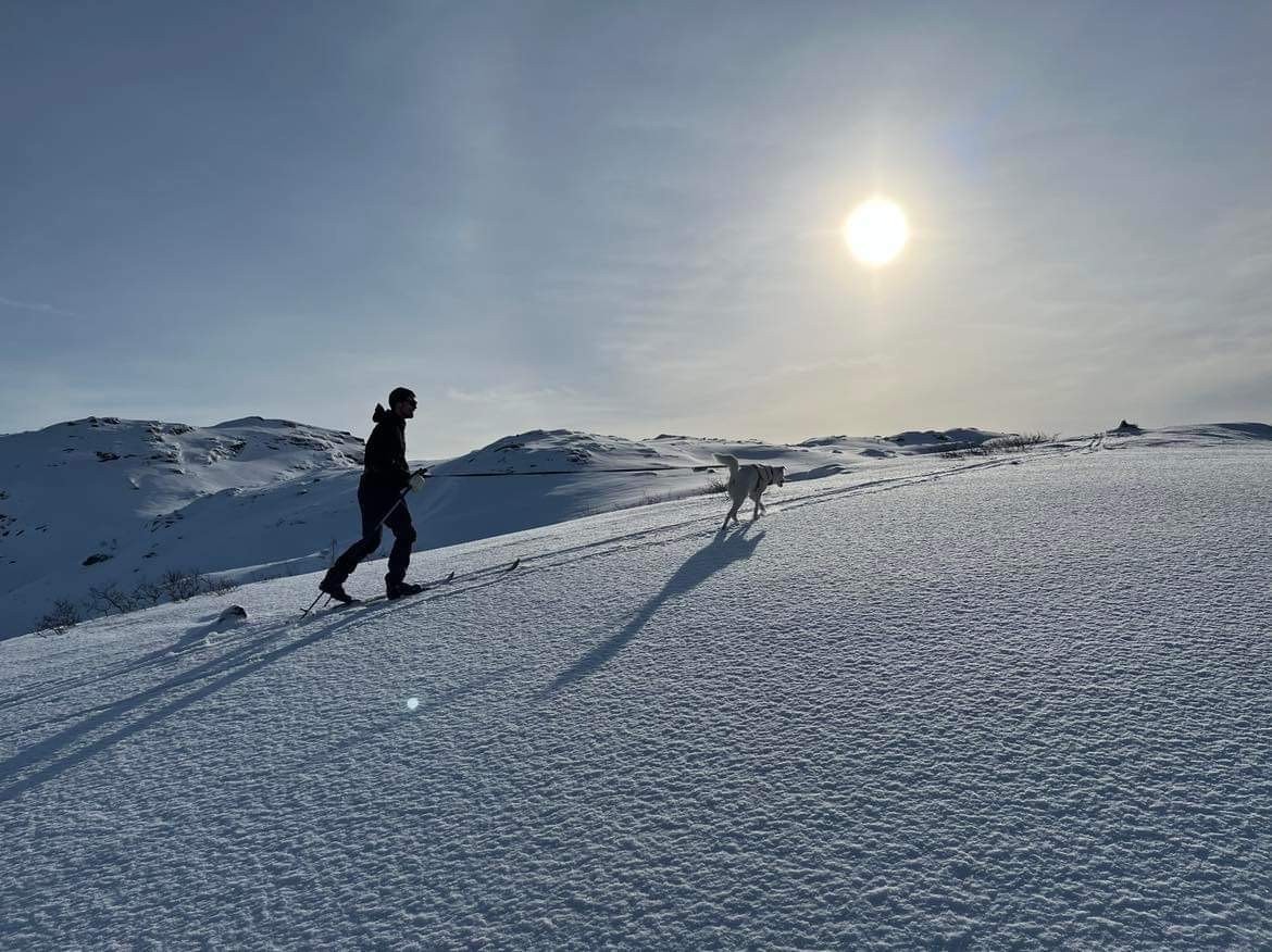 Nærområdet har mye å by på både sommer- og vinterstid. Private bilder fra selger. Galleribilde