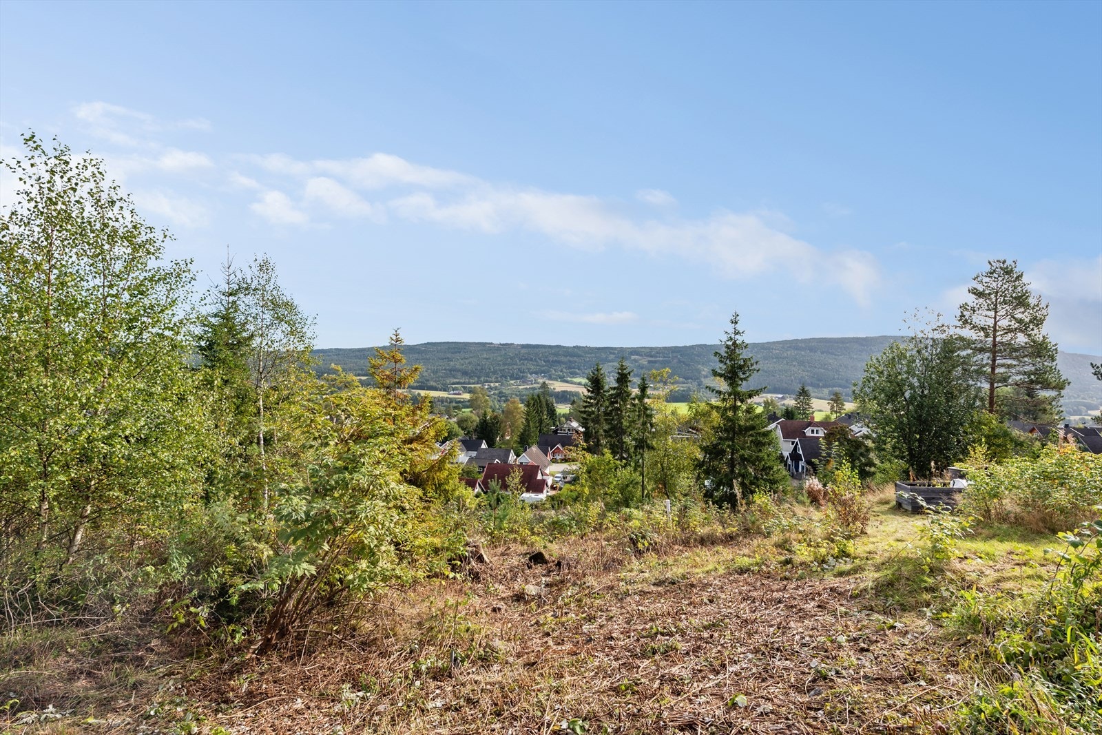 Tomten er godt tilrettelagt for å starte med bygging. Galleribilde