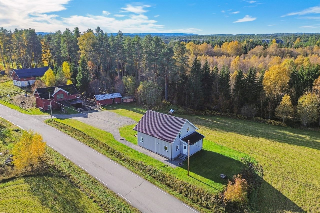 Oversiktsbilde over den delen av eiendommen som ligger på østsiden av Kolomoen. Galleribilde