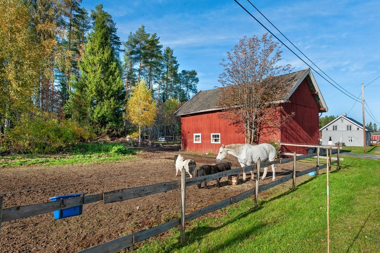 Bak låven er det paddock for f.eks. hestehold. Galleribilde