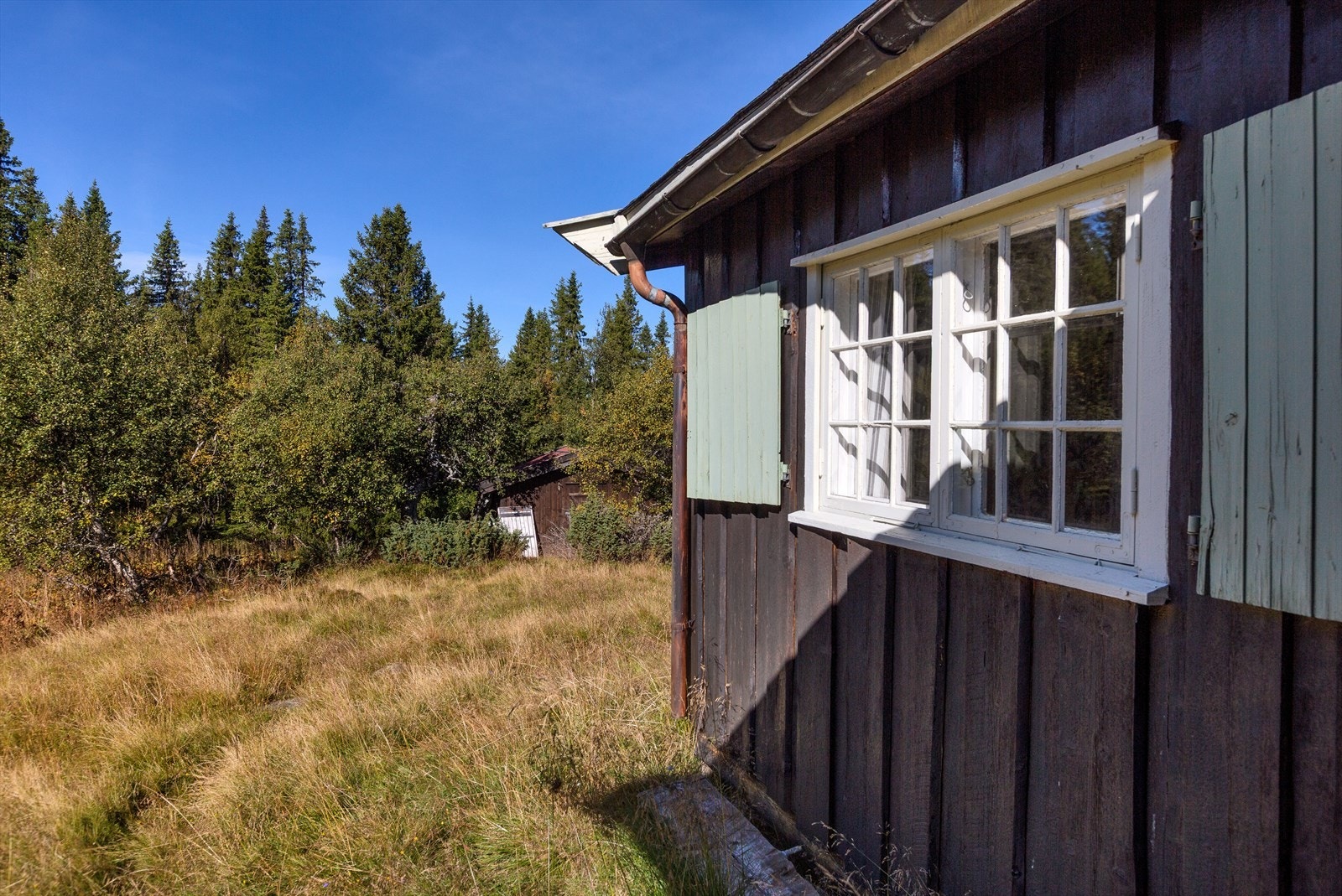 Hytte og uthus. Galleribilde