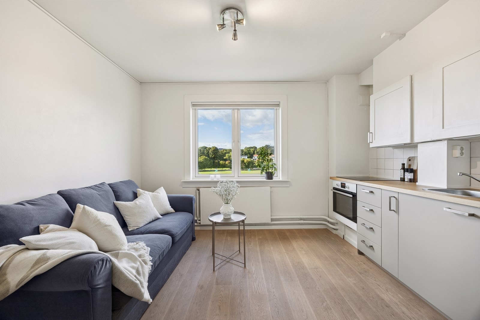 Lys og pen studioleilighet Galleribilde