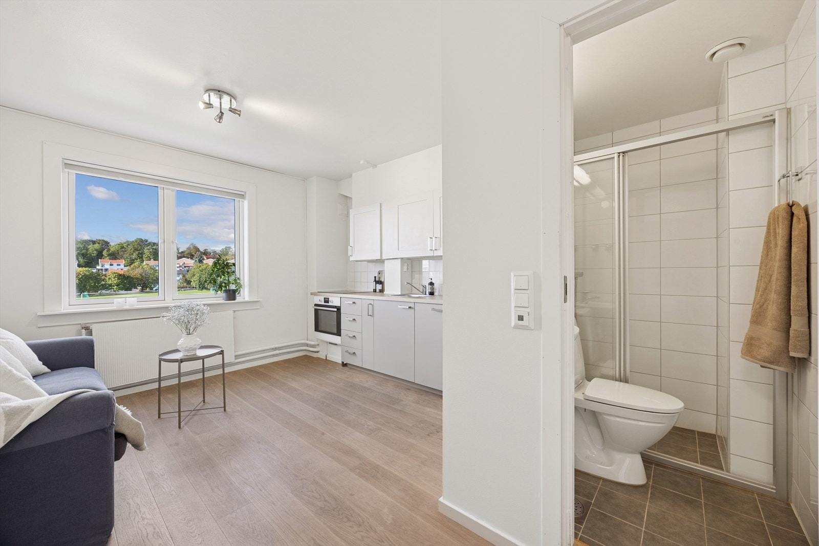 Fra allrommet er det dør inn til baderommet. Galleribilde