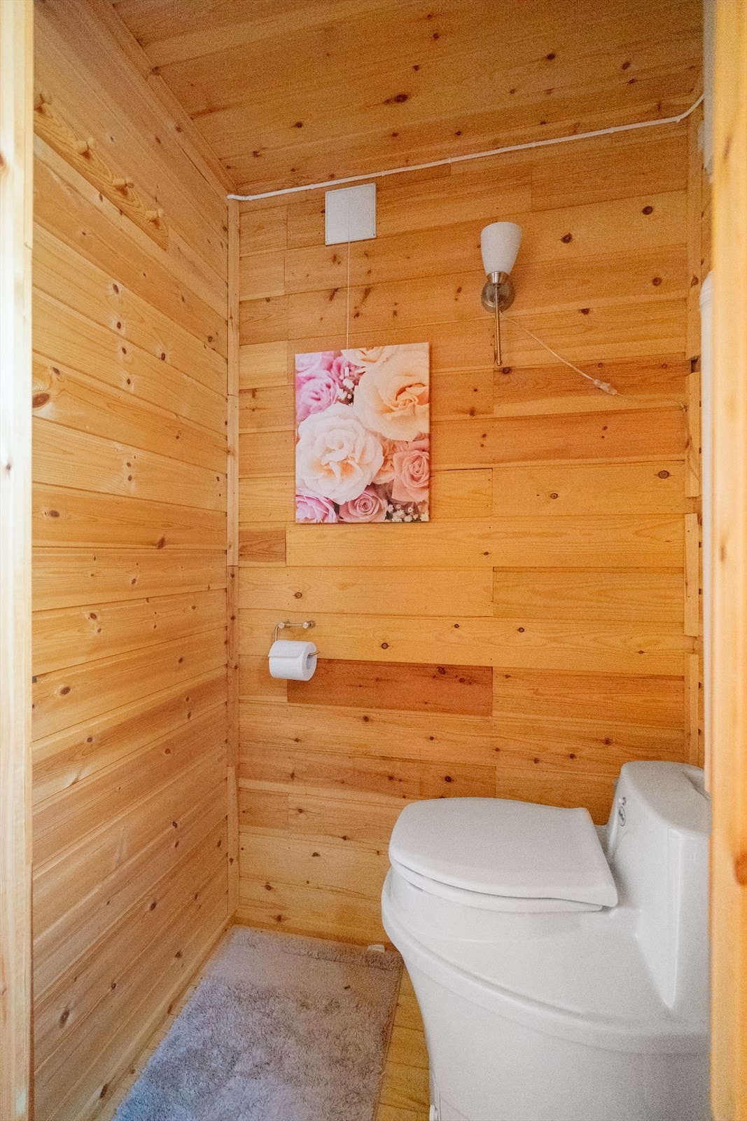 Praktisk toalettrom med biotoalett - en enkel og funksjonell løsning for hyttelivet Galleribilde