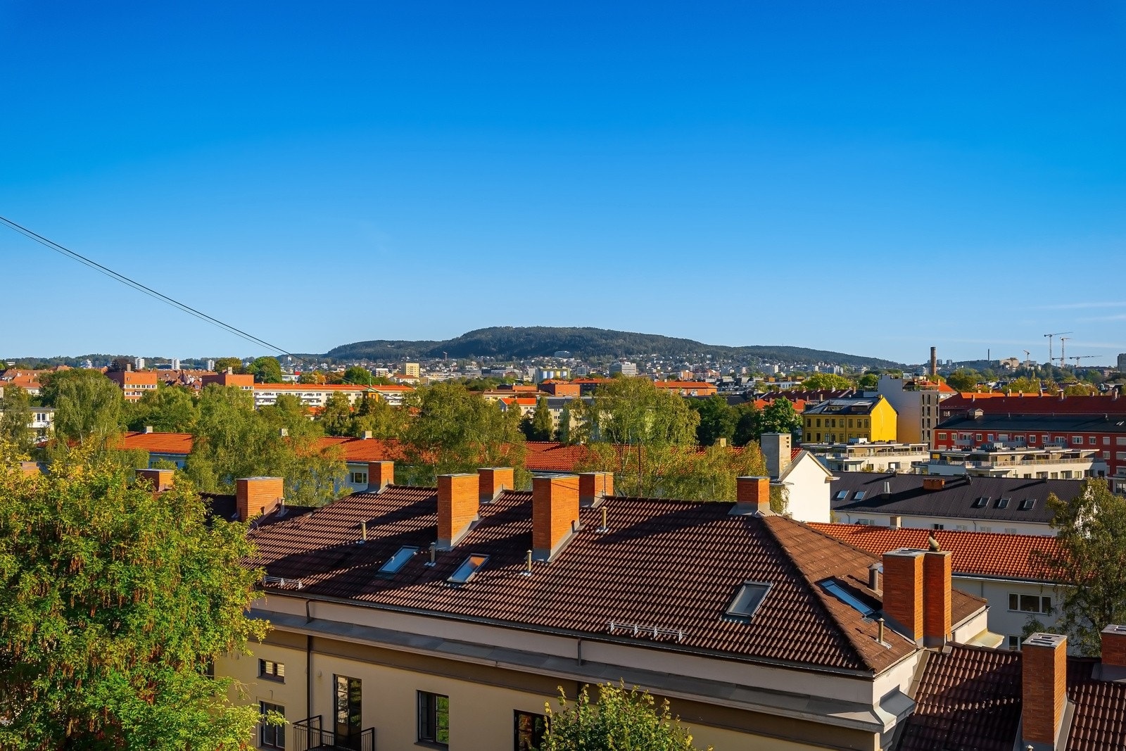 Nydelig utsikt over bakgården, nærområdet og Oslo by Galleribilde
