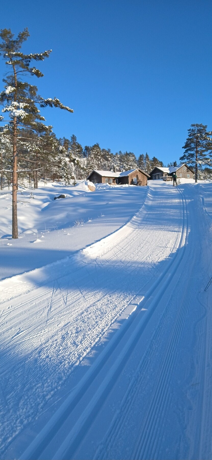 Selgers egne bilder. Galleribilde