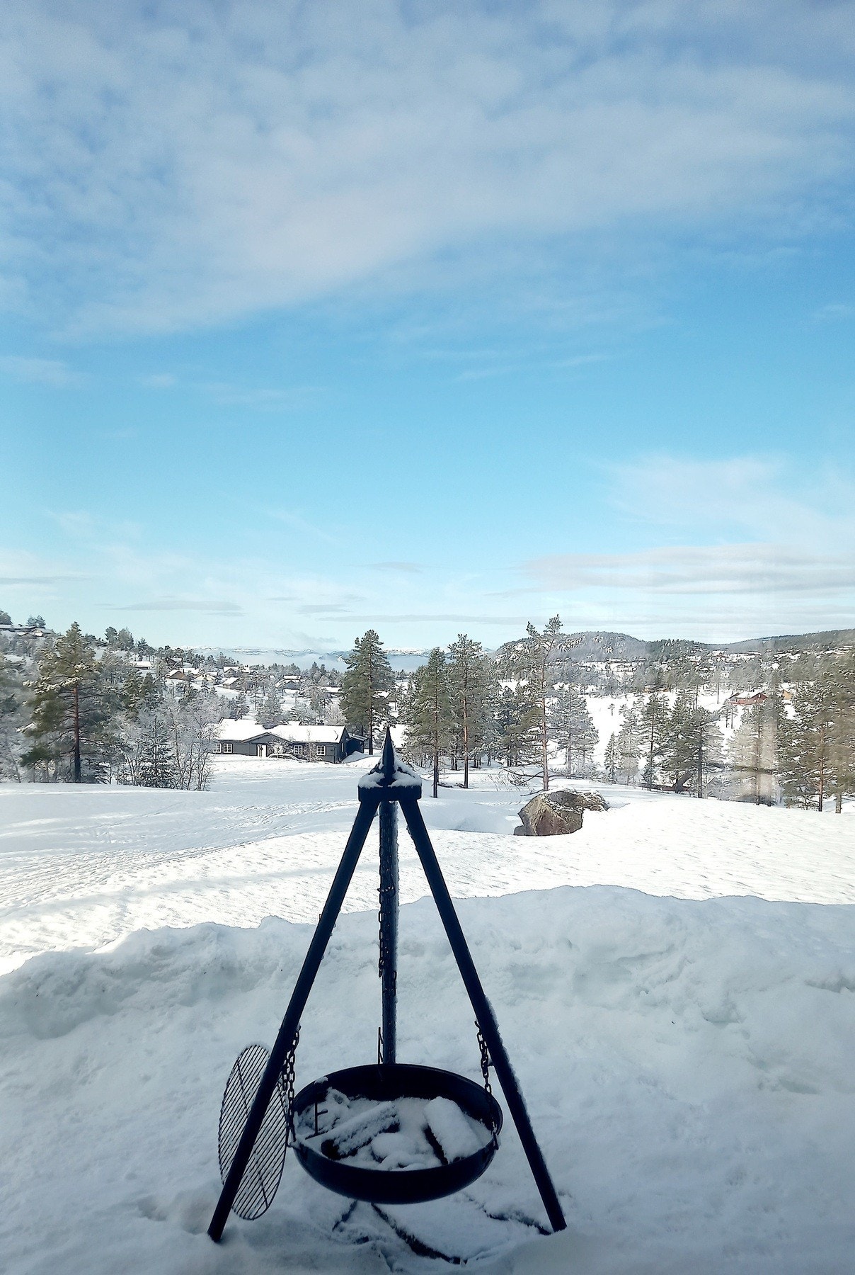 Selgers egne bilder. Galleribilde