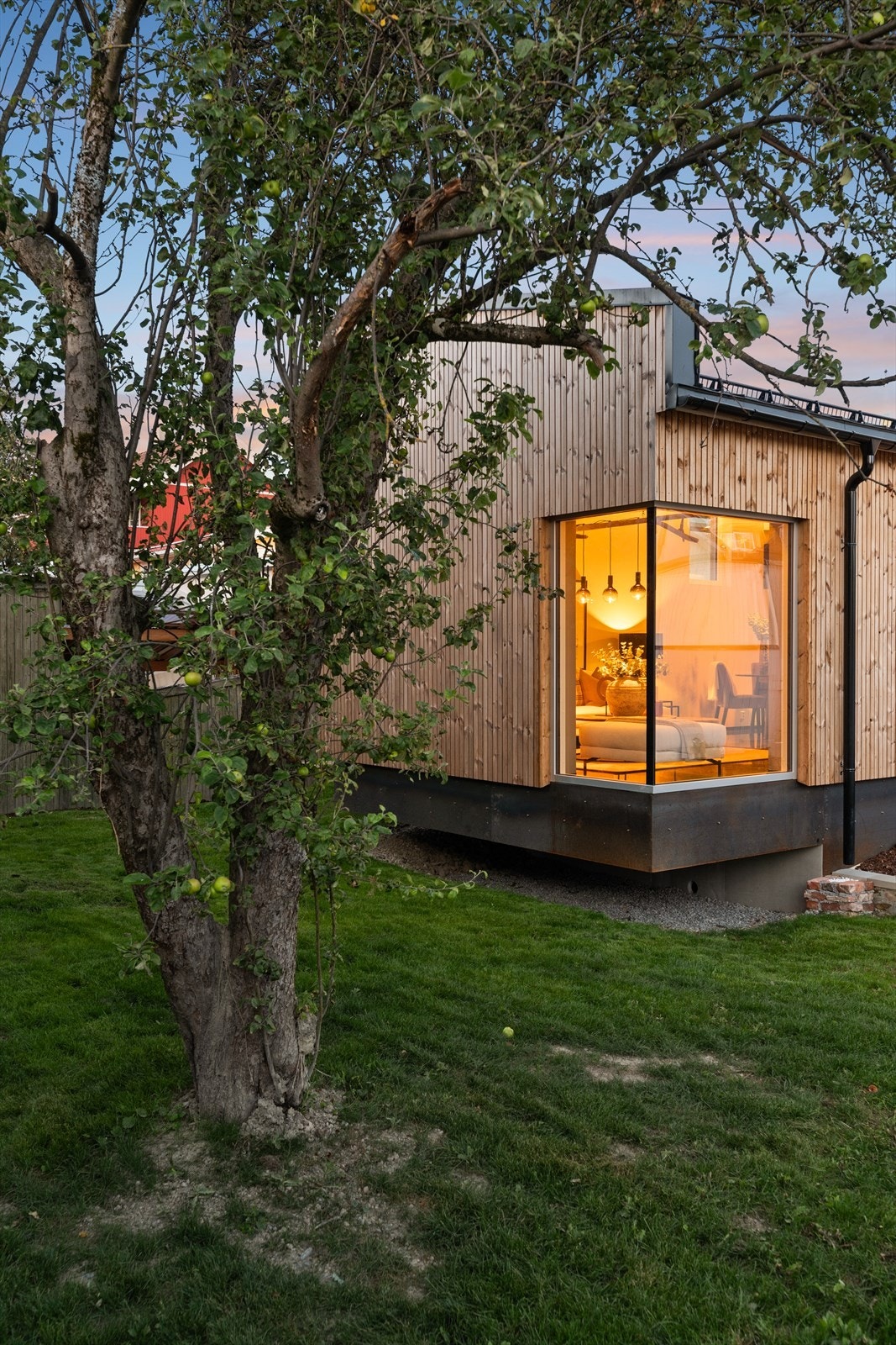 Kveldsstemning i hagen. Galleribilde