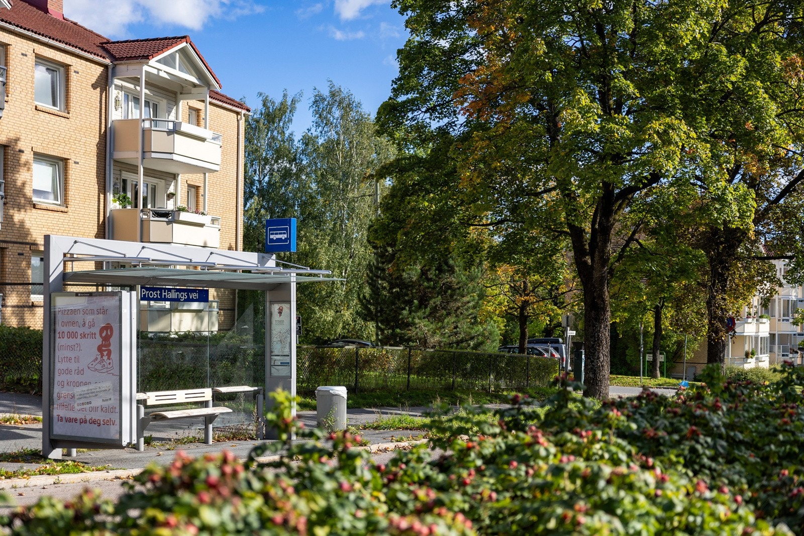 Fasade Galleribilde