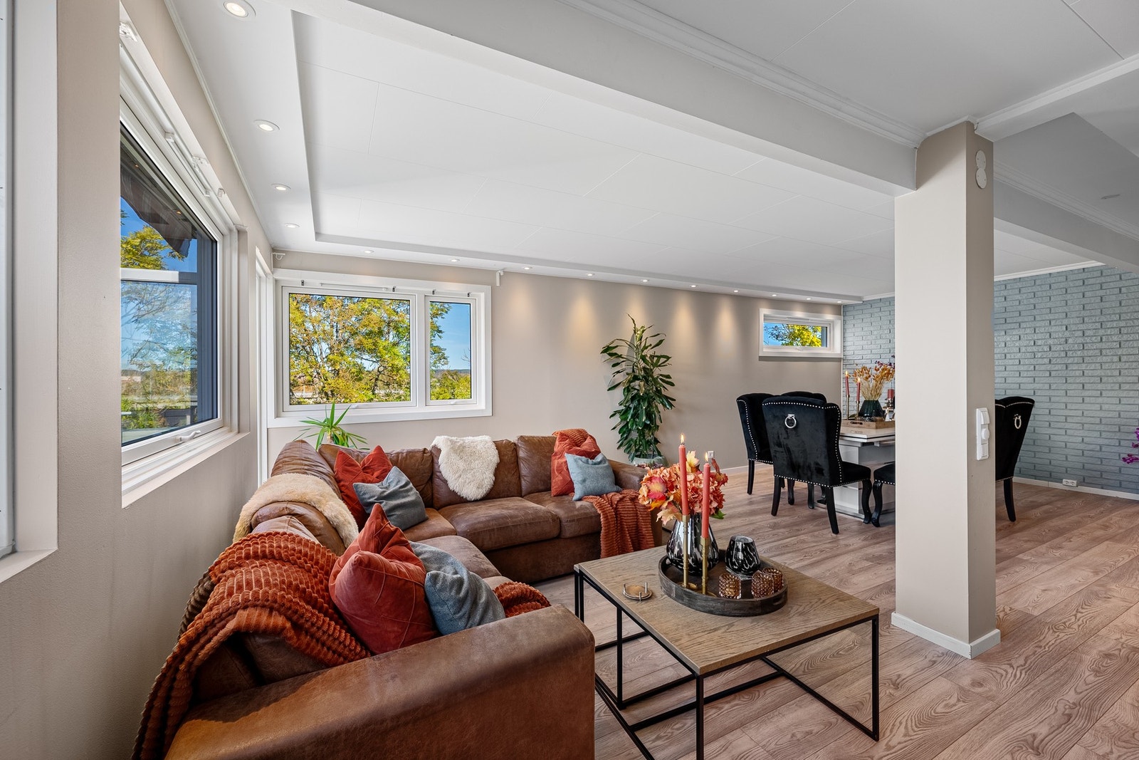 Rommet har vinduer i to retninger, noe som gir rikelig med naturlig lys og en luftig atmosfære. Galleribilde