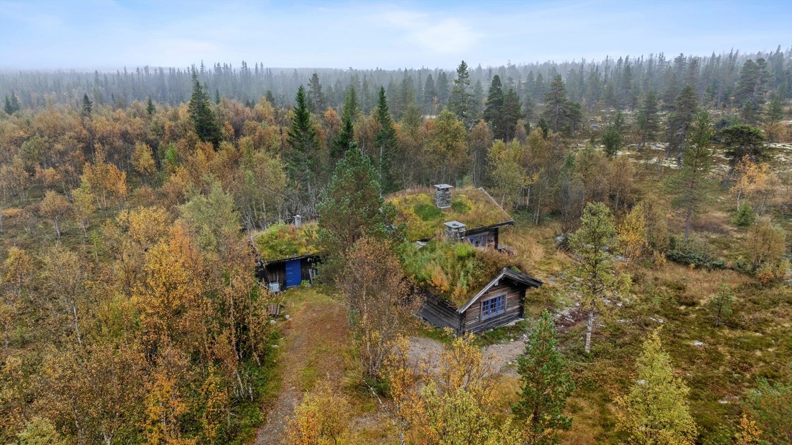 Ute og area Galleribilde