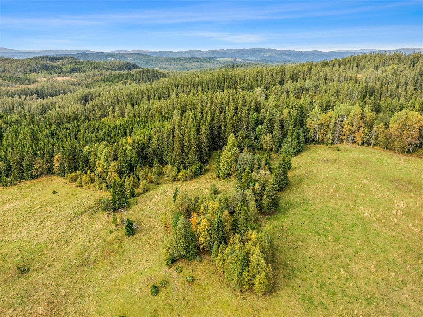 Tomta ligger pent til i et åpent landskap med mye potensial. Galleribilde