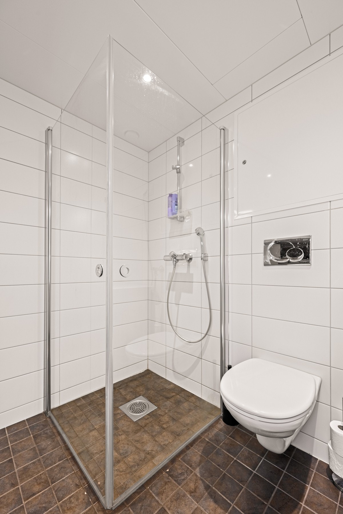 Bad med vegghengt toalett, dusj og plass til vaskemaskin/tørketrommel Galleribilde