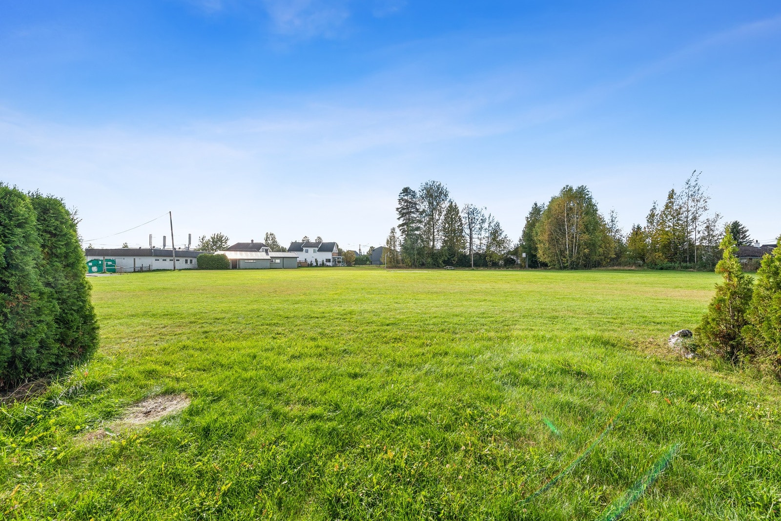 Flott utsikt over grønne enger. Galleribilde
