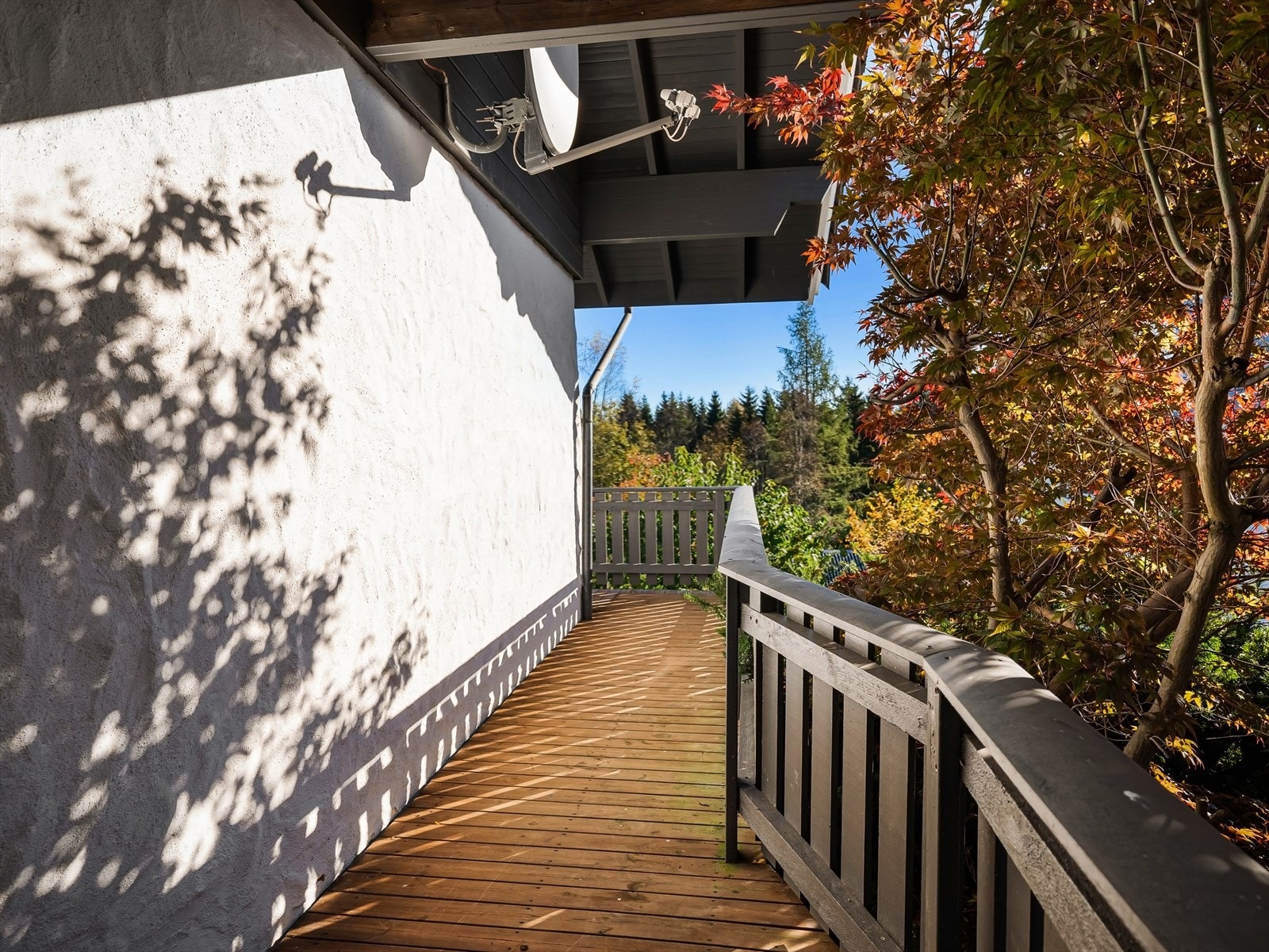 Terrassen strekker seg rundt bygget Galleribilde