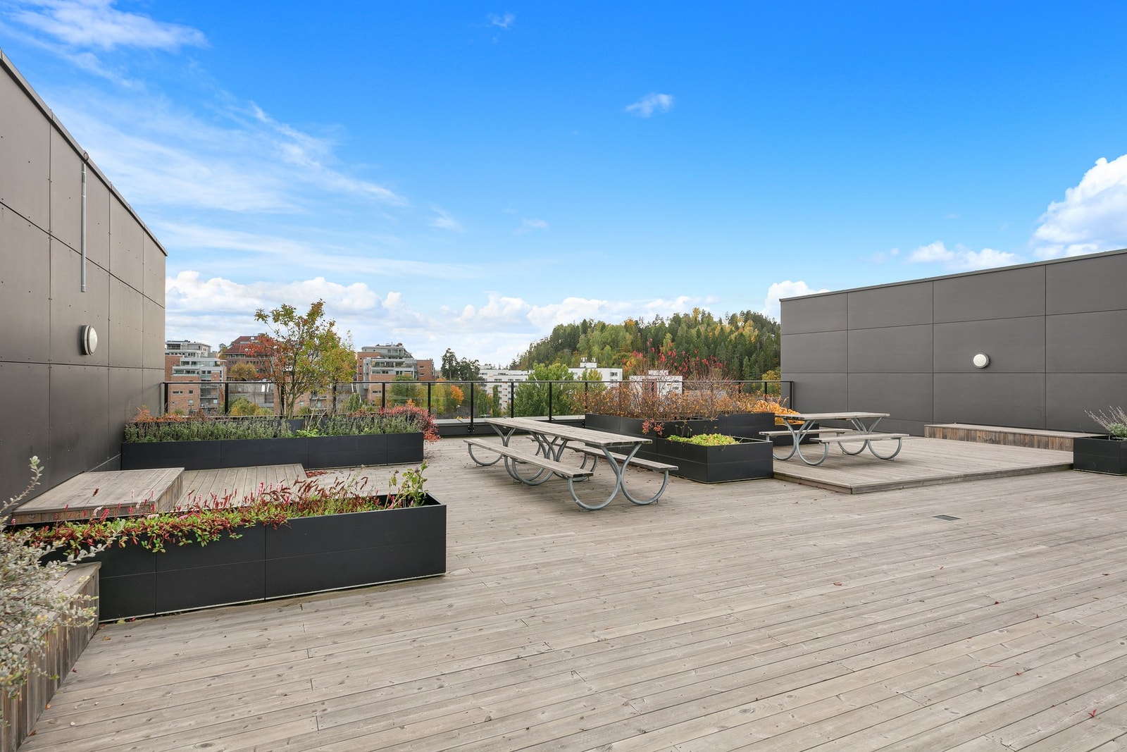 Sameiets beboere kan benytte seg av en herlig takterrasse utstyrt med sittebenker og beplantning Galleribilde