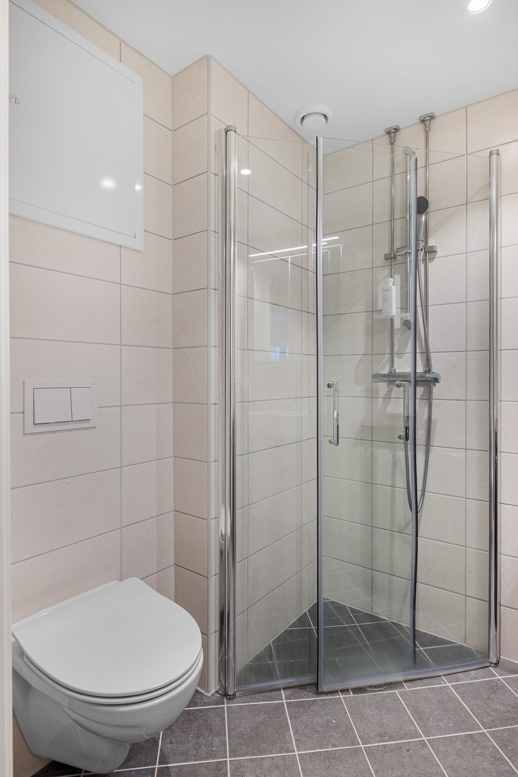 Vegghengt toalett og en pen dusjsone. Galleribilde