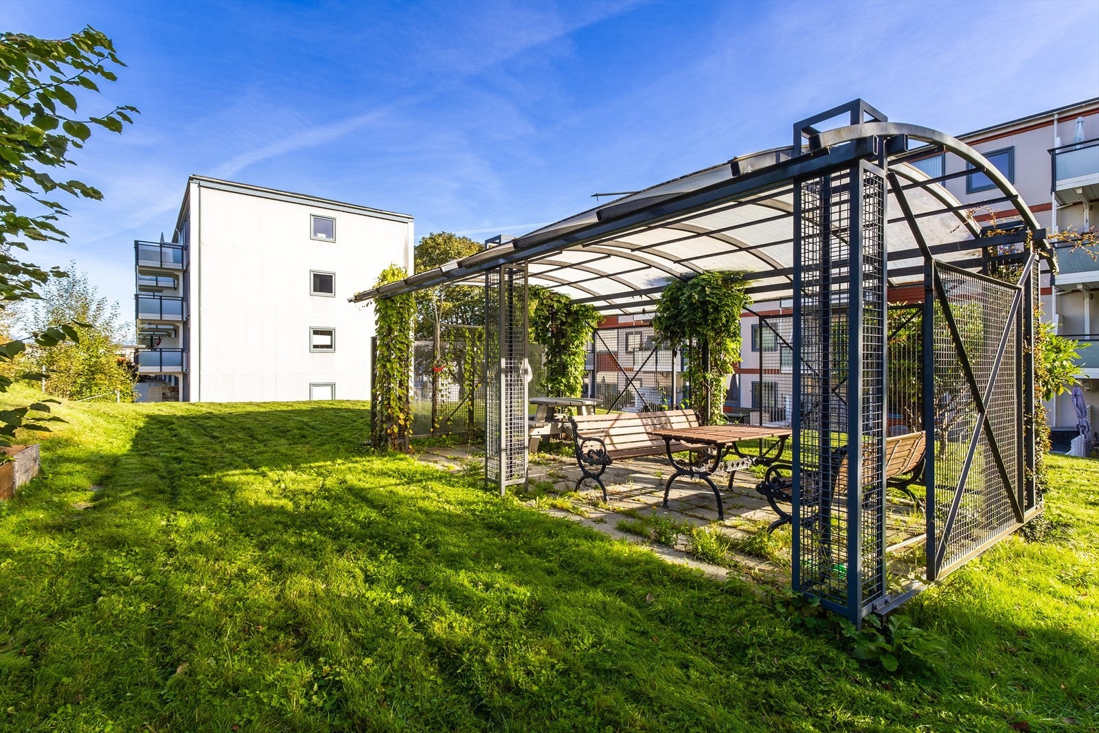 Flotte soner for sosiale sammenkomster. Stor felles hage. Galleribilde