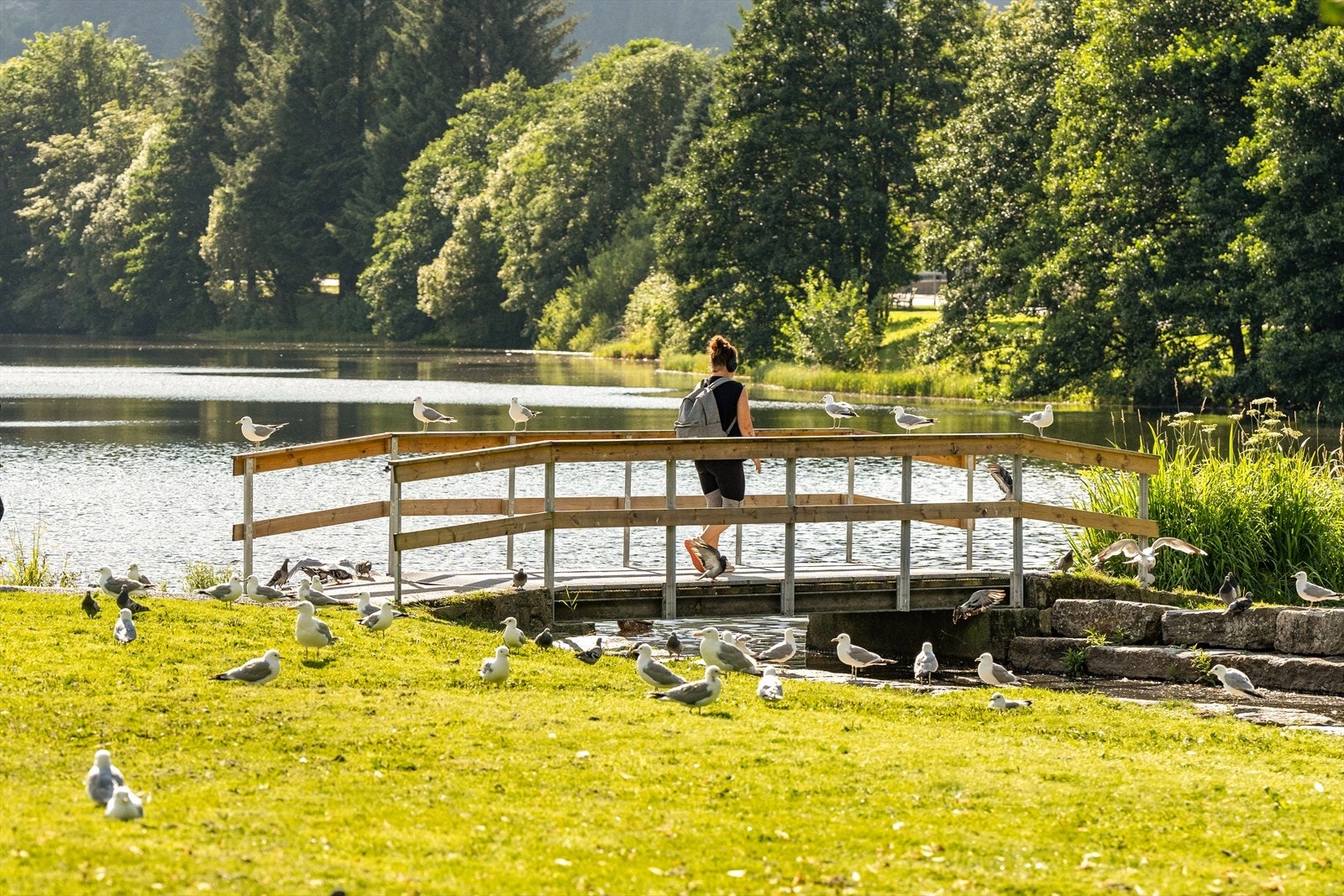 eller en gåtur/løpetur i parken. Galleribilde