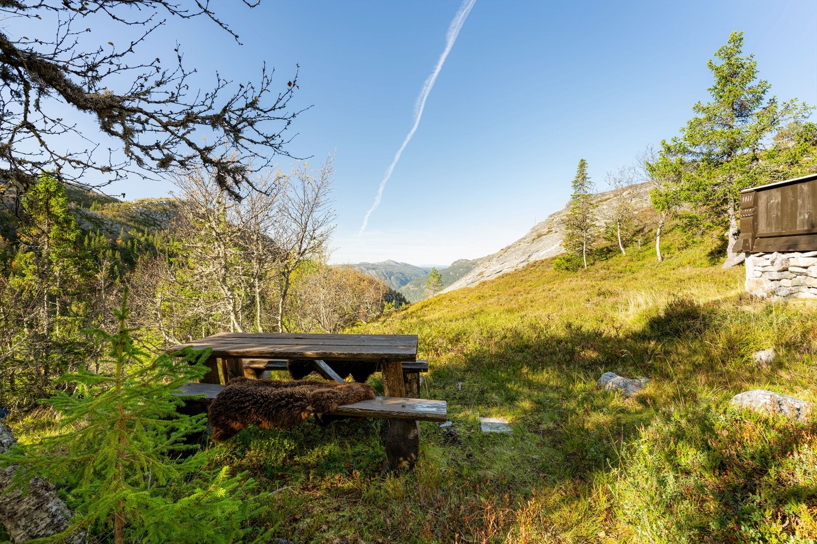 Det er flotte turområder i umiddelbar nærhet som innbyr til mange deilige naturopplevelser. Galleribilde