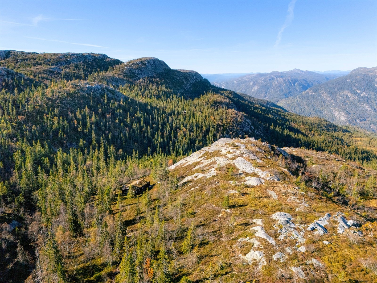 Det er ca. 11 km til Seljord sentrum med de fleste fasiliteter. Galleribilde
