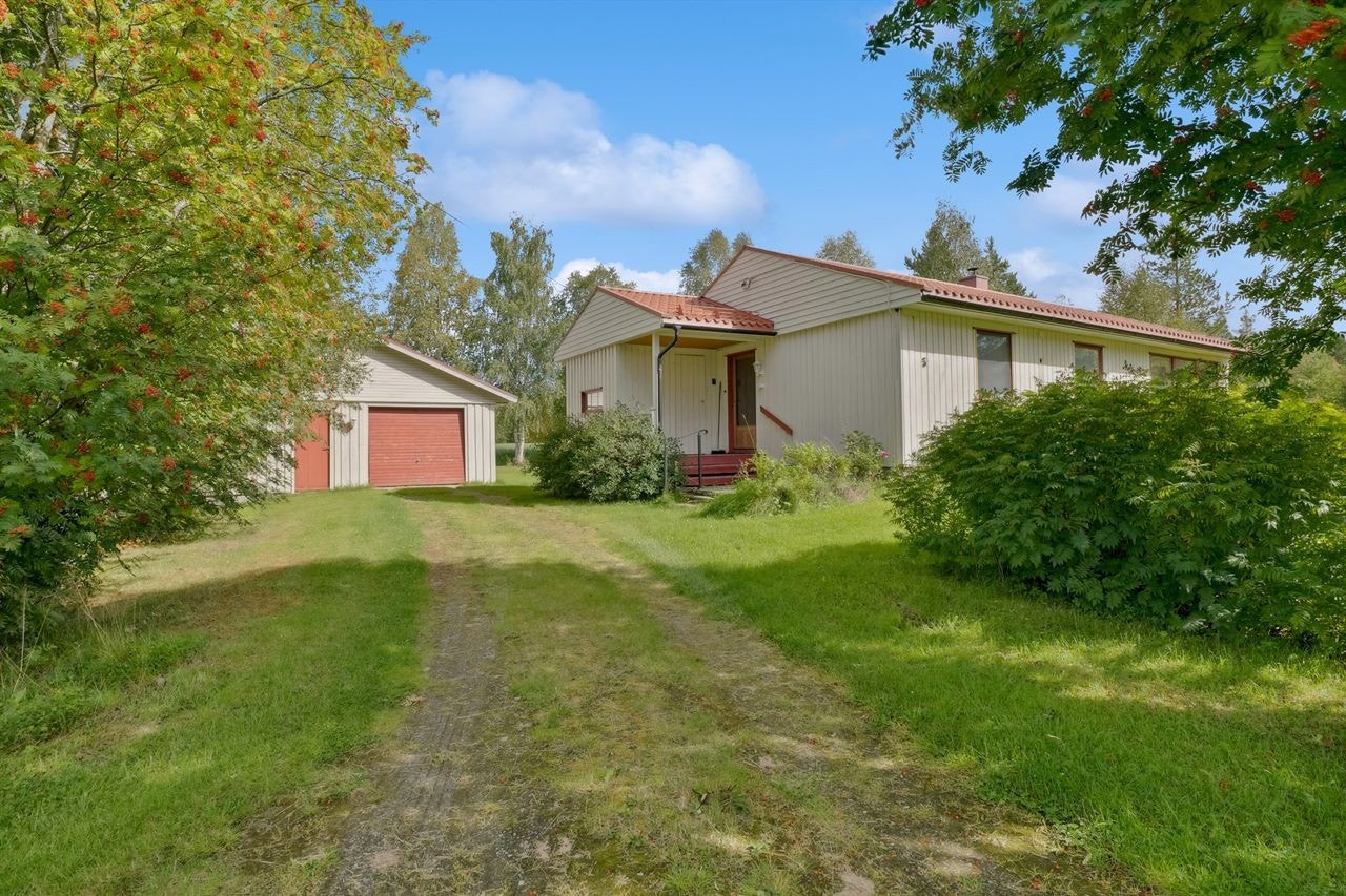 Telnesmoen 5 Galleribilde