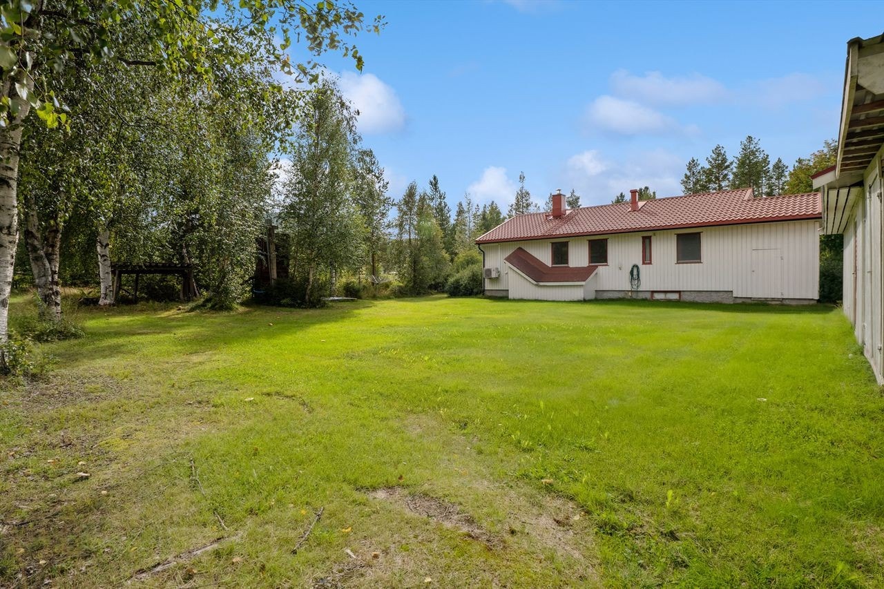 Telnesmoen 5 Galleribilde