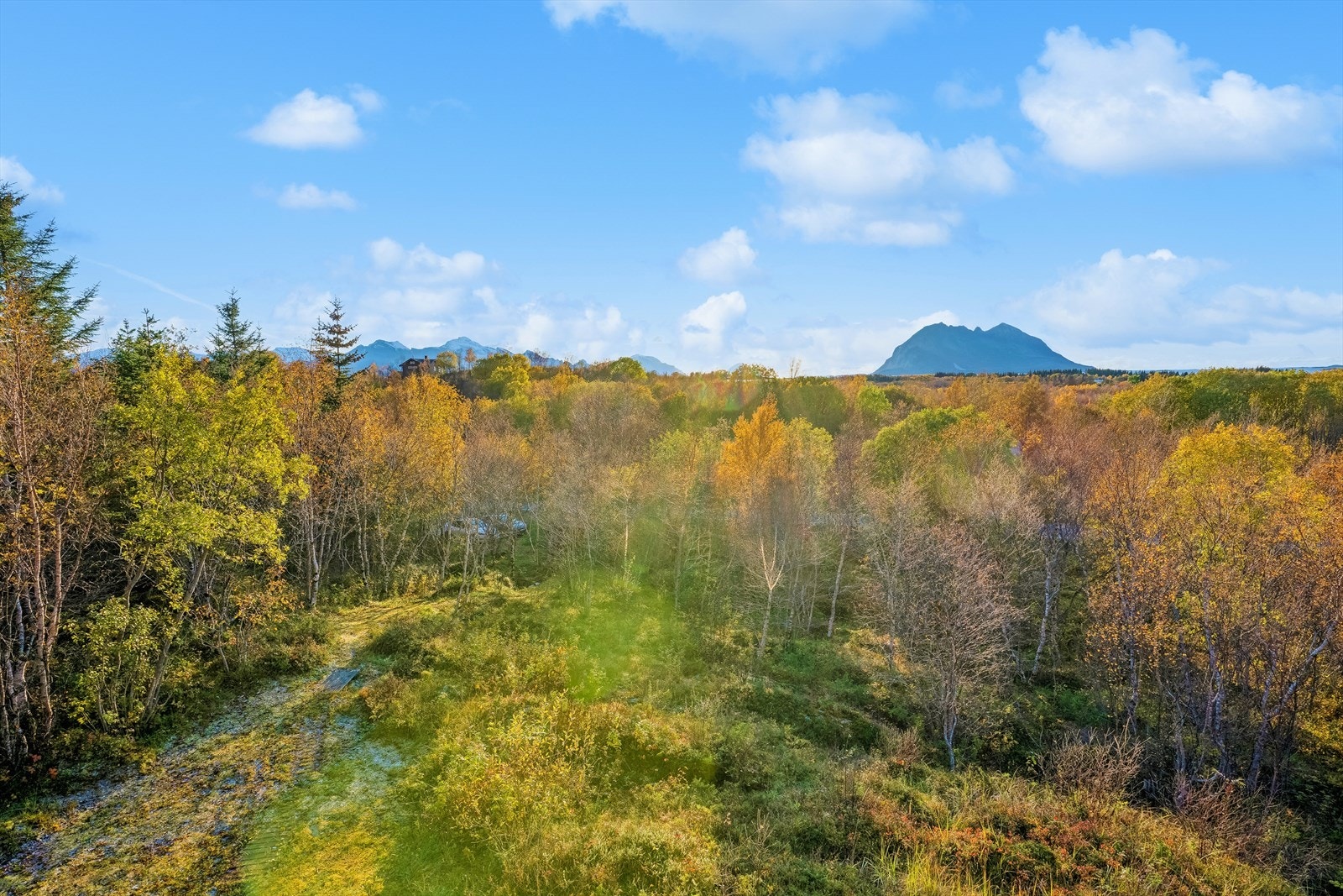 Parkeringsplassen vises i vagt mellom trærne, med stien til hytten. Galleribilde