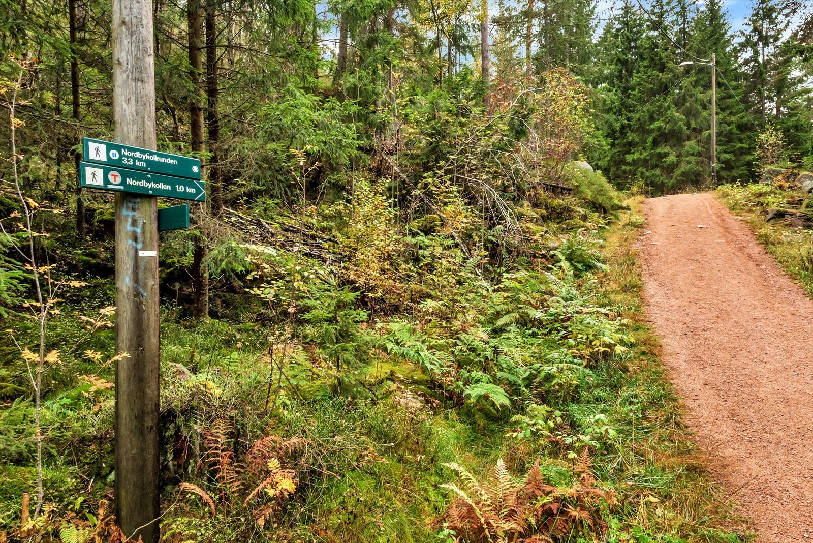 Her bor du med alle byens fasiliteter i nærhet til leiligheten, samtidig som det kun er noen minutter opp til et fantastisk flott løypenett i marka. Galleribilde