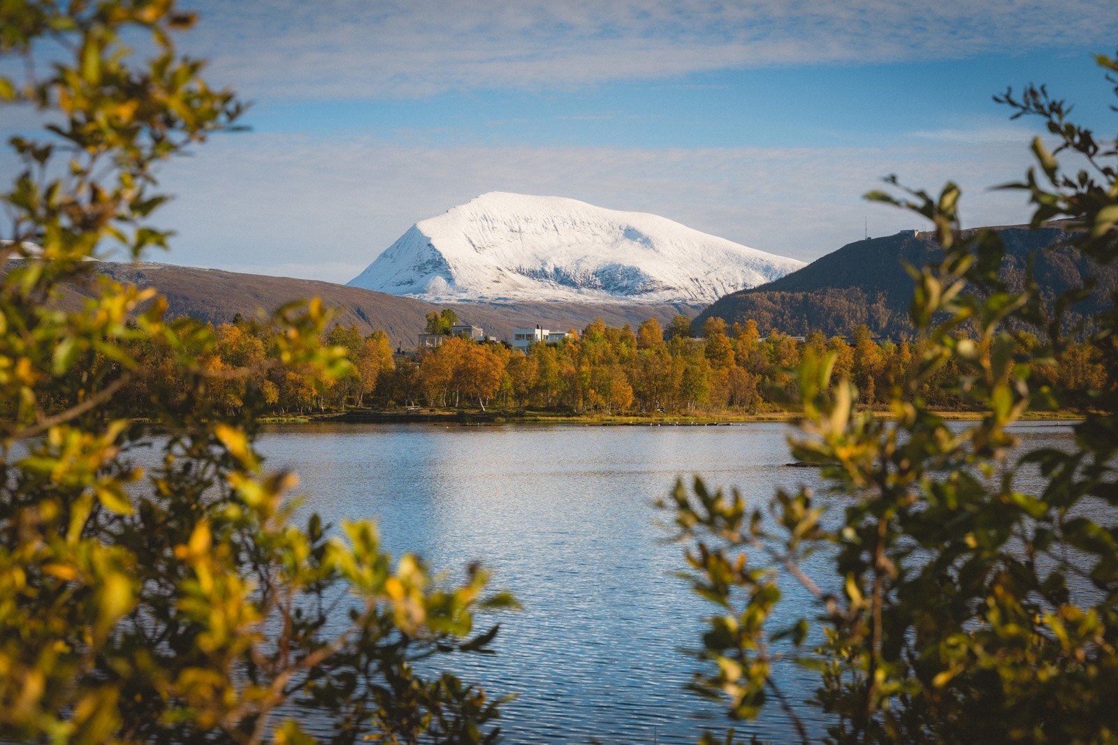 Prestvannet ligger en kort spasertur unna.