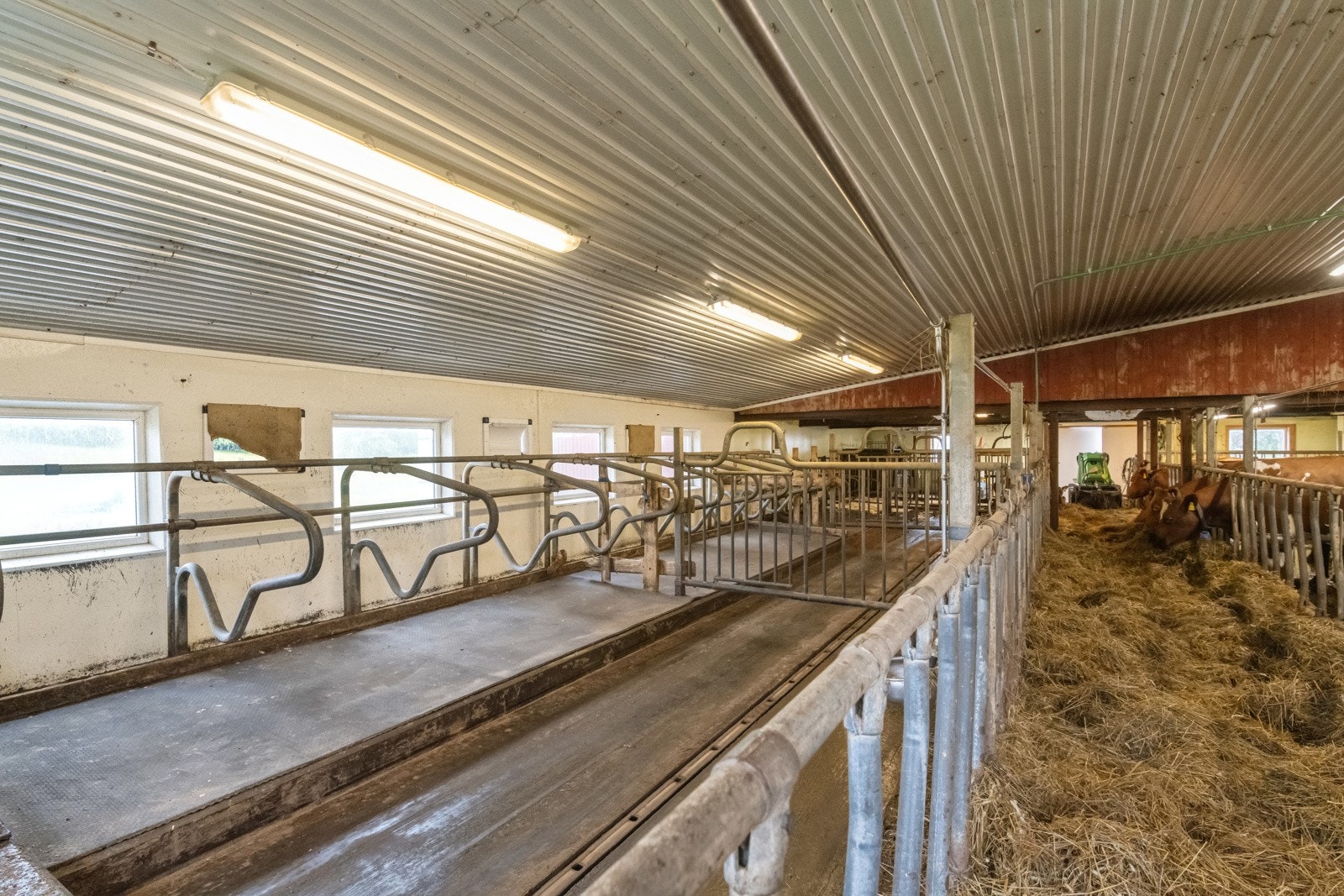 Husdyrrom Galleribilde