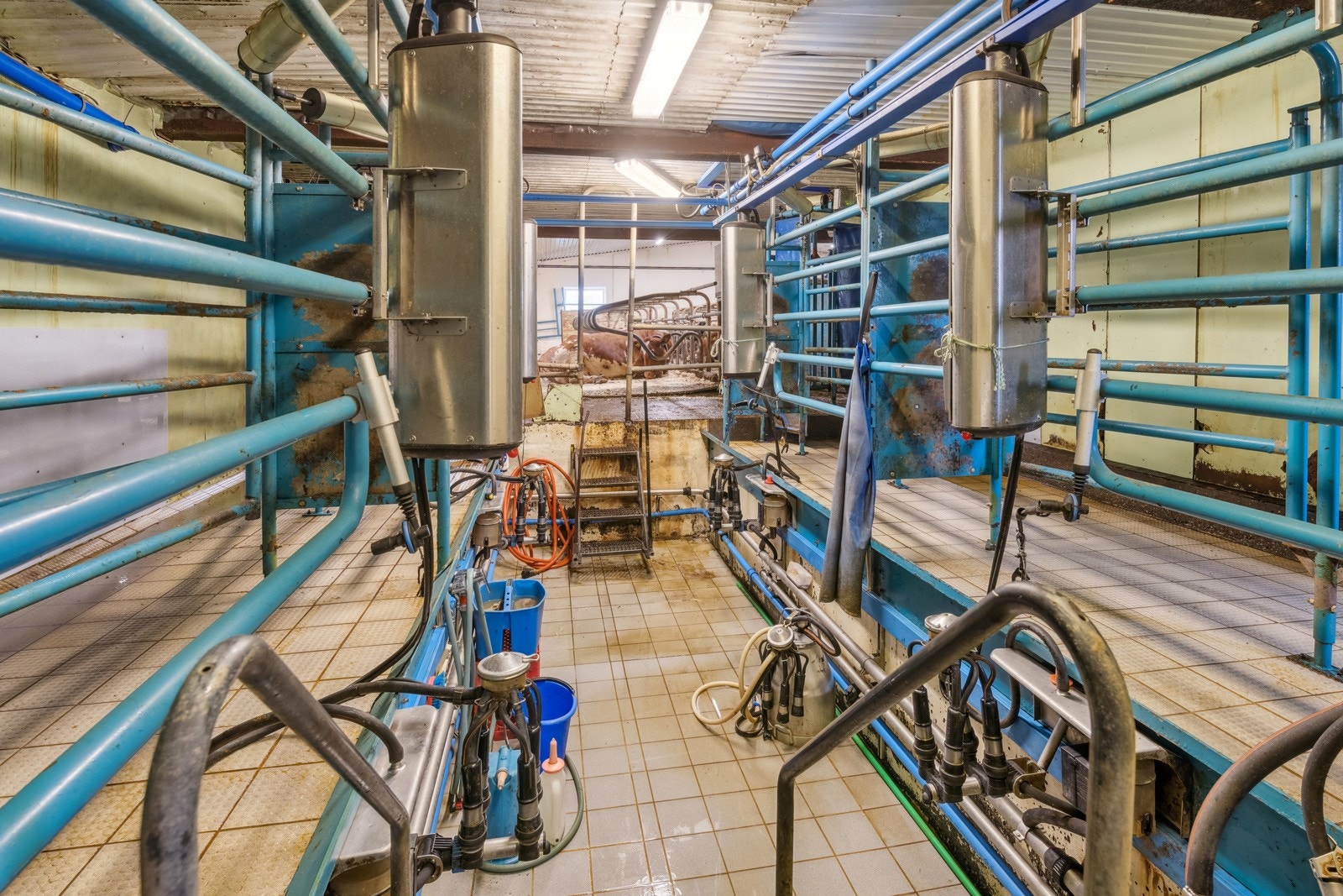 Melkestall 2x2 tandem, med Delaval melkeanlegg Galleribilde