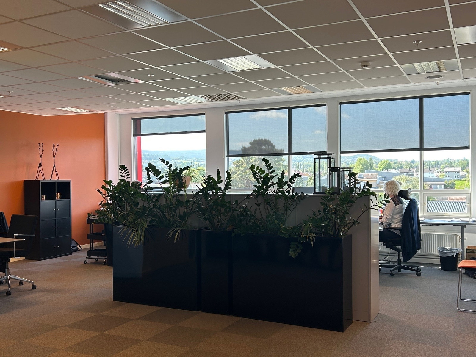 Landskap Galleribilde