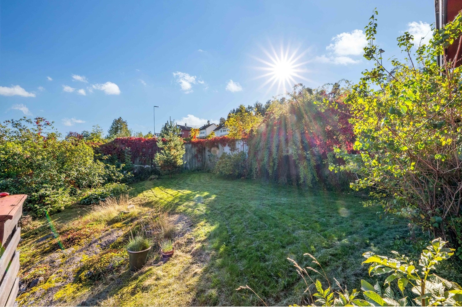 Tomten er omkranset av variert vegetasjon som gir en naturlig og skjermet ramme rundt boligen. Galleribilde